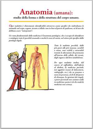 Leggi la definizione di Anatomia Umana
