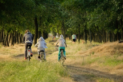 Lo sport e le arti sono fondamentali per stimolare lo sviluppo cognitivo dei bimbi