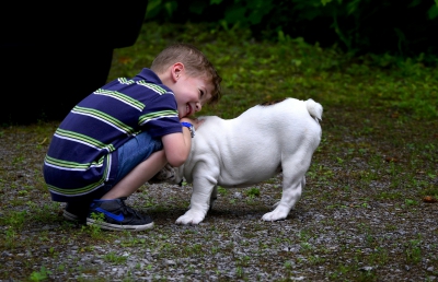 ADHD: un bambino vivace non è malato